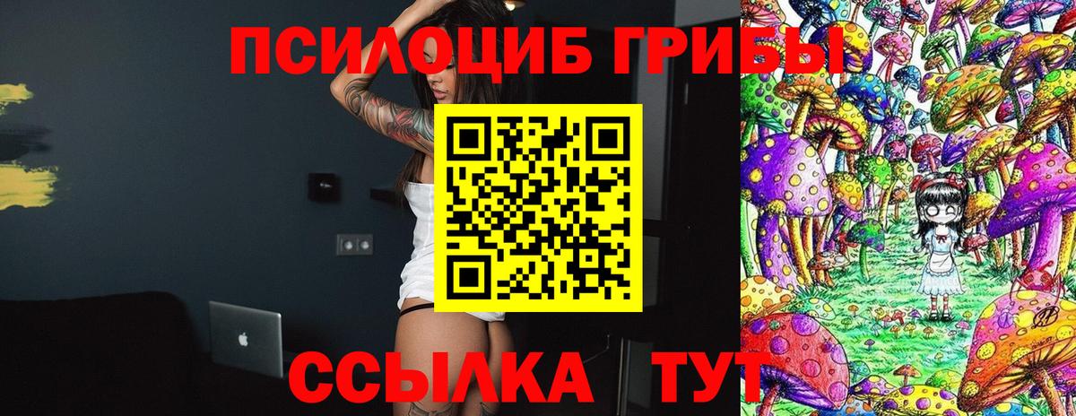 Псилоцибиновые грибы ЛСД  Псилоцибиновые грибы Magic Shrooms  Вход с VPN  Сердобск 